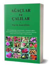 Ağaçlar ve Çalılar -I