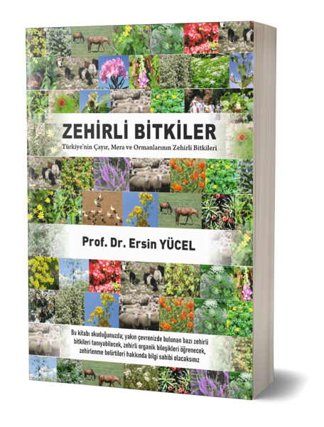 Zehirli Bitkiler Ersin Yücel