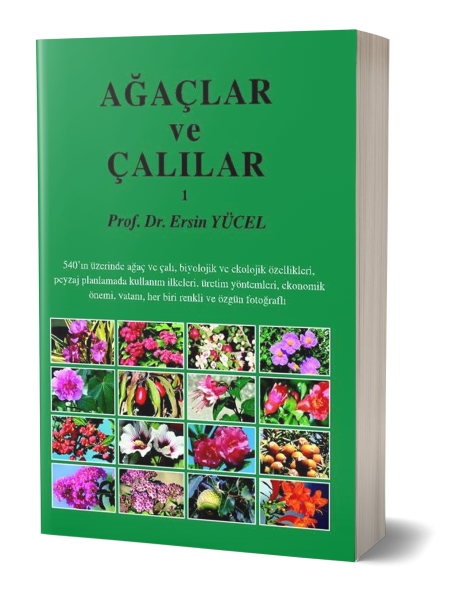 Ağaçlar ve Çalılar -I Ersin Yücel