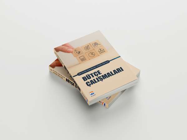 Bütçe Çalışmaları Fatih Deyneli