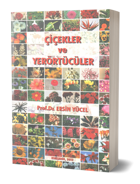 Çiçekler ve Yerörtücüler Ersin Yücel