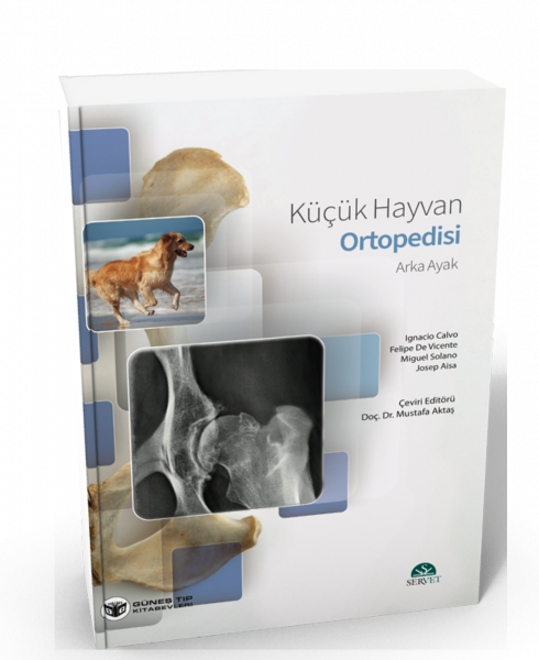 Küçük Hayvanlarda Ortopedisi Arka Ayak
